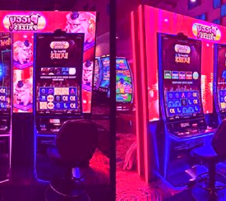 9 Dice Multi slot