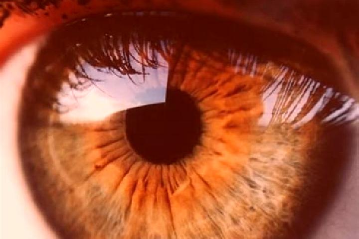 Manic Fairy slot machine