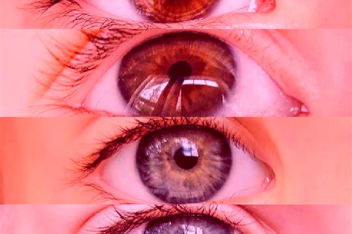 Mega Mustang slot game