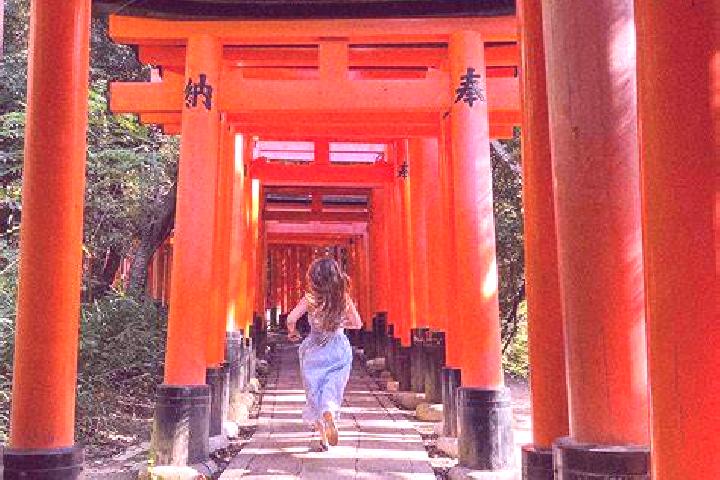 Money Wheel (Evolution Gaming) slot