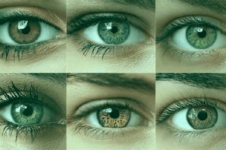 Randy The Amazing Flying Bum slot machine