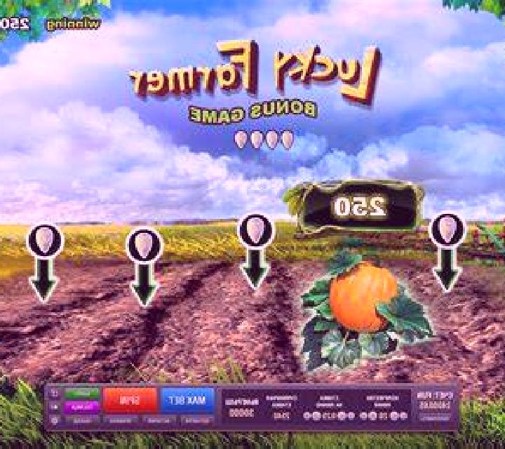 Rapid Card Chase slot machine