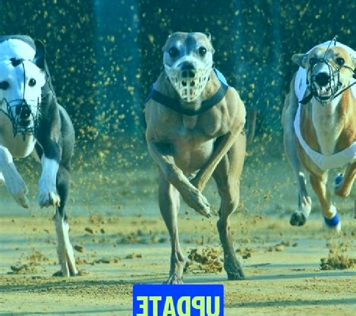 Space Gems (Magnet Gaming) slot machine