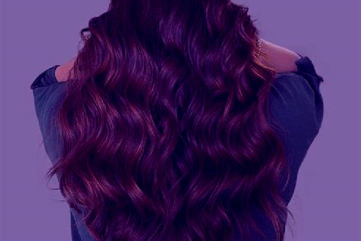 The Chase Slingo slot game